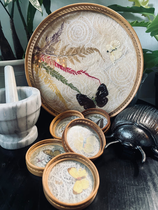 Vintage 1970’s Butterfly Tray with matching Coasters